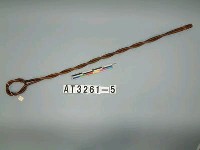 藏品(刑罰用具)的圖片